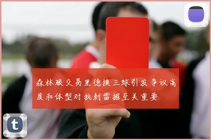 森林狼交易里德换三球引发争议高度和体型对抗刺雷掘至关重要